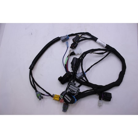 Kohler Harness Wiring Assembly 24 176 258-S